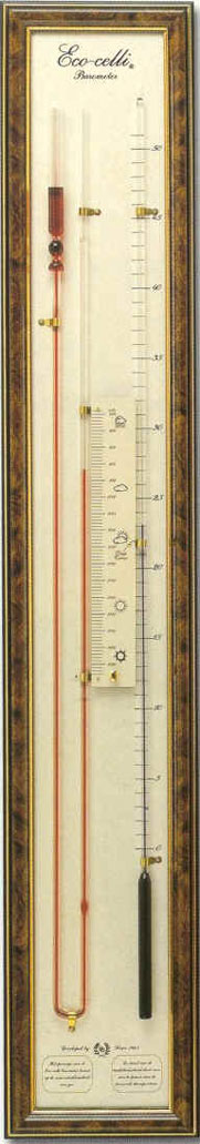 Eco-Celli Barometer