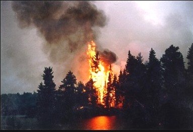 Forest fire, Minnesota