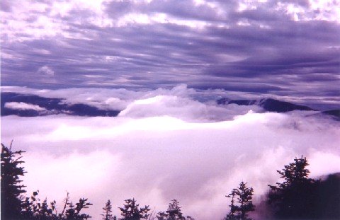 Valley fog from Mt Washington